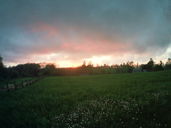 Field at Sunset